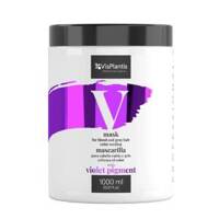 Vis Plantis Professional Mask for Blond and Gray Hair Cooling Color 1000ml