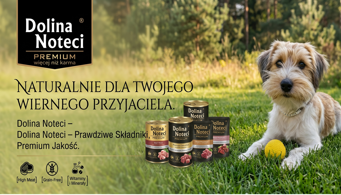 Dolina Noteci  Posiada link	tak   nie