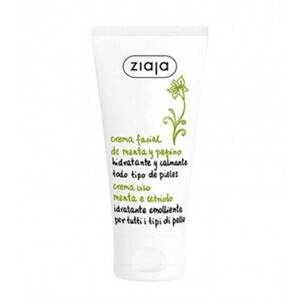 Ziaja Cucumber - Mint Moisturizing Cream SPF6 for All Skin Types 50ml