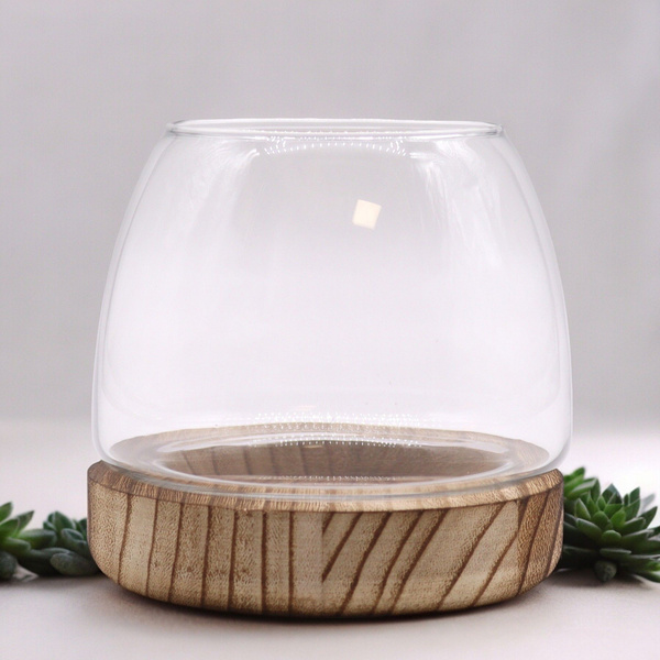 Small Terrarium on Natural Tung Wood