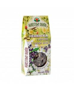 Natura Wita Fruit and Herb Tea Gooseberry and Elderberry 100g Best Before 31.08.26