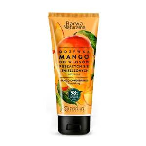 Barwa Natural Mango Nourishing Conditioner for Damaged Hair 200ml