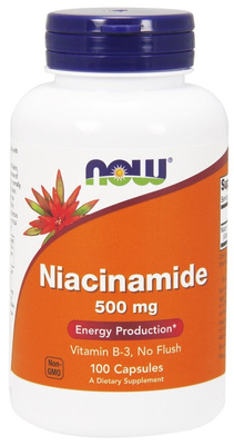 Now Foods Niacinamide 500mg Supports Nervous System & Psychological Function 100 Capsules
