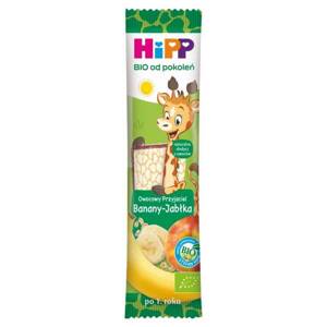 Hipp Bio Fruit Friend Bar Bananas Apples for Babies after 12 Months of Life 23g