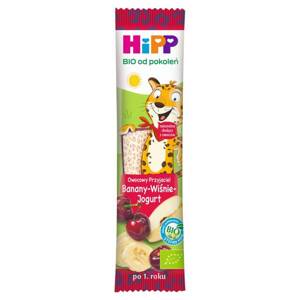 Hipp Bio Fruit Friend Bar with Bananas Cherries and Yoghurt for Children 23g