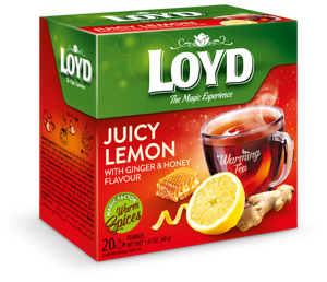 Loyd The Magic Experience Warming Tea with Ginger Lemon and Honey 20x2g