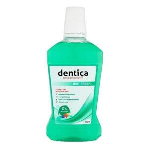 Tołpa Dentica Dental Protection Mint Fresh Refreshing Preventing Mouthwash 500ml