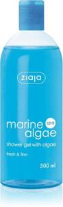 Ziaja Sopot Spa Shower Soap with Algae 500ml