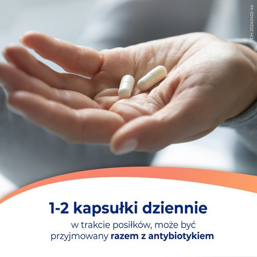 Dicoflor 6 Probiotyk dla Wsparcia Mikroflory Jelitowej 20 Kapsułek