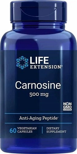 Carnosine, 500mg - 60 vcaps