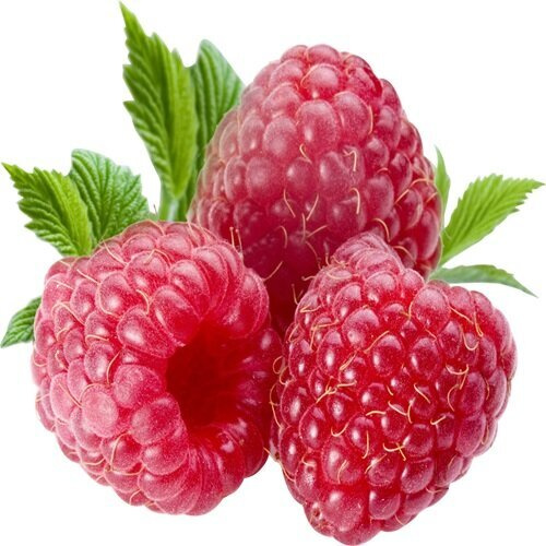 EkaMedica 100% Raspberry Juice NFC Pasteurized 500ml