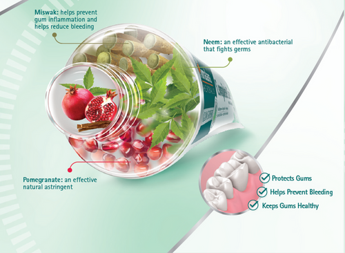 Himalaya 100% Vegetarian Total Care Herbal Toothpaste with Advanced Herbal Formula 75ml