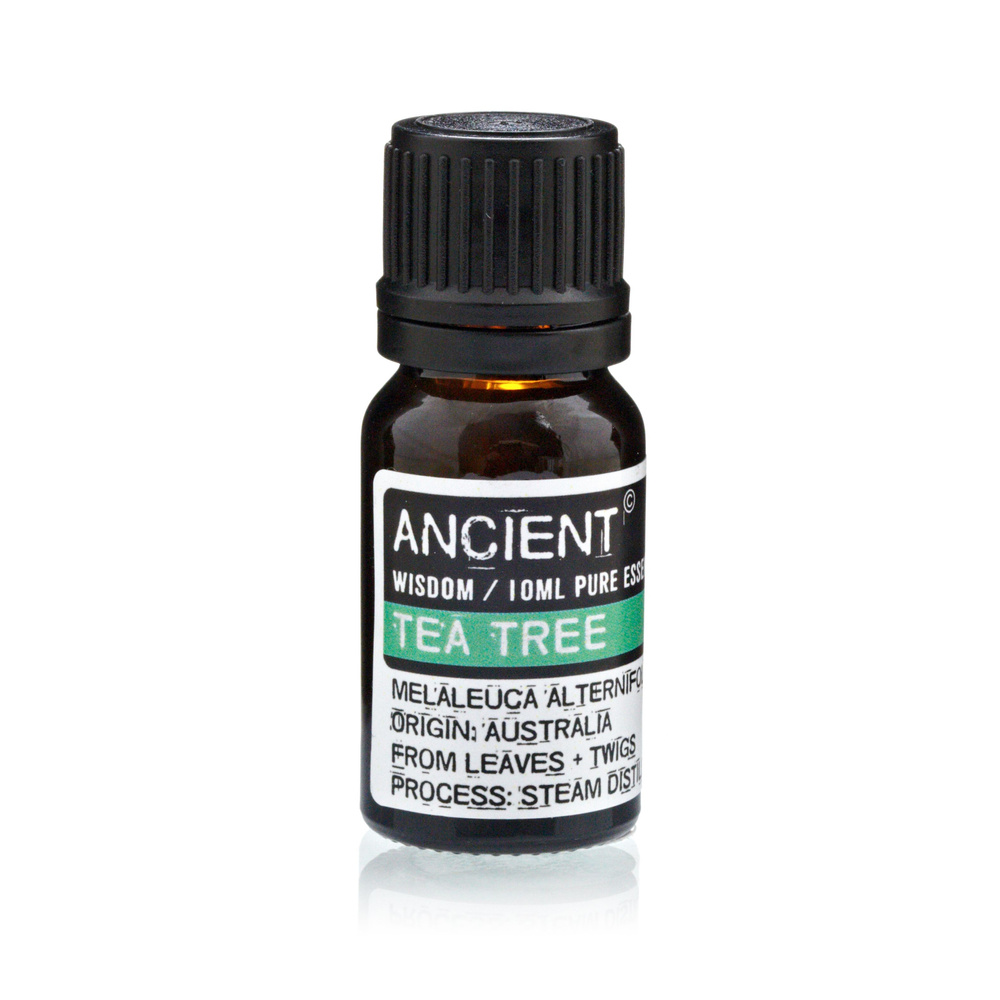 Set of Lavender, Tea Tree & Rosemary Essential Oils - 10ml Each