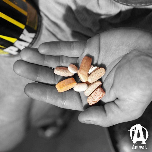 Animal Pak Packs Pakiet Treningowy 44 Sztuki