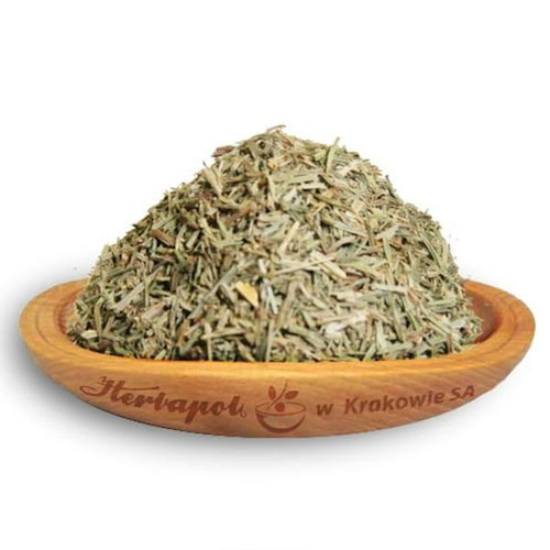 Herbapol Ziele Skrzypu Herbatka Ziołowa na Wzmocnienie Włosów Skóry i Paznokci 50g