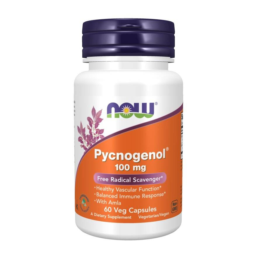 Now Foods Pycnogenol 100mg Wspiera Układ Odpornośćiowy 60 Kapsułek