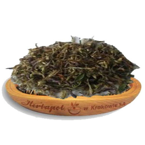 Herbapol Koniczyna Czerwona Kwiat Herbatka Ziołowa na Objawy Menopauzy i Ciśnienie Krwi 50g