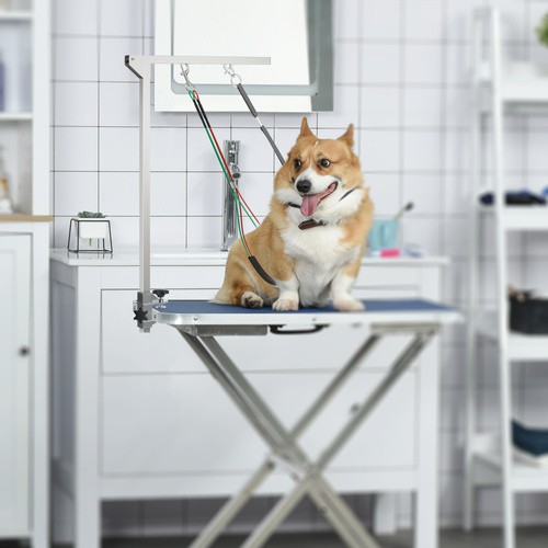 PawHut Adjustable Pet Grooming Arm, with Clamp, Haunch Holders & Grooming Loop - Sliver-Tone