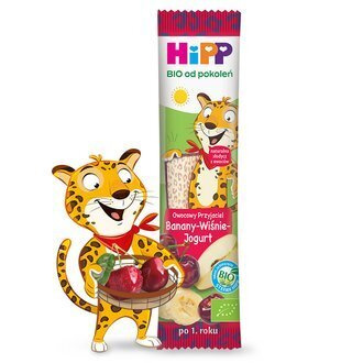 Hipp Bio Fruit Friend Bar with Bananas Cherries and Yoghurt for Children 23g