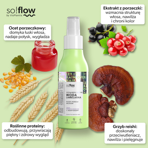 So!Flow Alcohol-Free Lamellar Water Smoothing Treatment 150ml