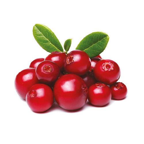 Oleofarm Juices World 100% Cranberry Juice with No Added Sugar 490ml