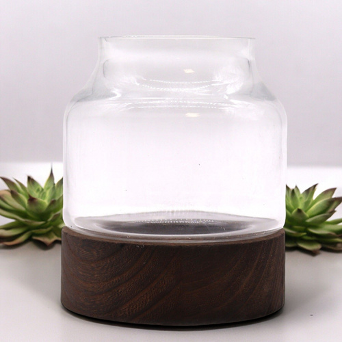 Small Shaped Terrarium on Dark Tung Wood