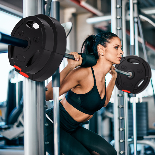 SPORTNOW Weight Plates Set, with Two 7.5kg and Two 5kg weights, Black