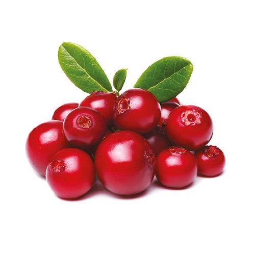 Oleofarm Juices World 100% Cranberry Juice with No Added Sugar 490ml