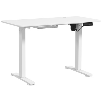 Vinsetto 72-116cm Adjustable Electric Standing Desk, 120 x 60cm Tabletop - White