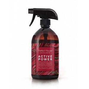 Barwa Perfect House Active Power Płyn do Trudnych Zabrudzeń 480ml