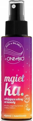 OnlyBio Hair In Balance Naturalna Wegańska Mgiełka Odbijająca Włosy od Nasady z Maliną i Imbirem 100ml