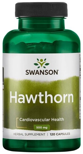 Hawthorn Extract, 500mg - 120 caps